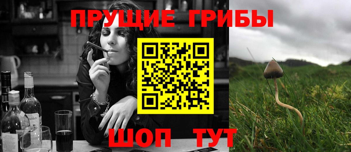 Тавда  Галлюциногенные грибы Cubensis  Галлюциногенные грибы Cubensis  Вход с VPN 